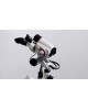 Colposcope binocular ALScope